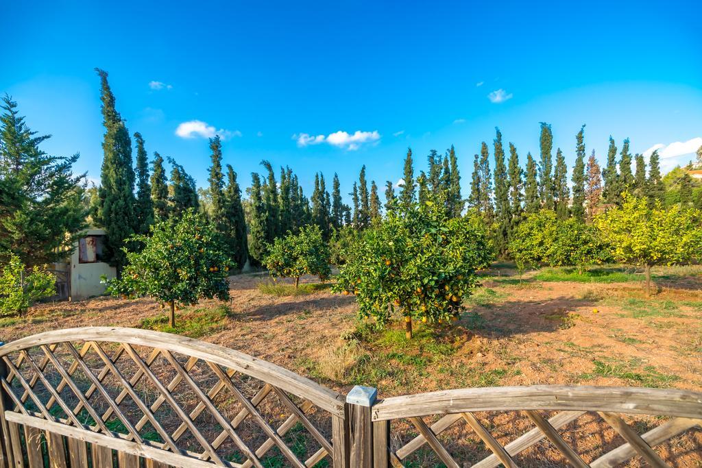 Legrena Beach Villa Сунион Экстерьер фото