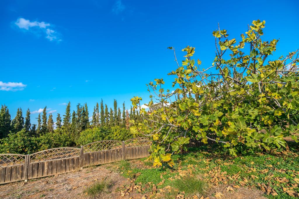 Legrena Beach Villa Сунион Экстерьер фото
